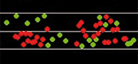 progression chart